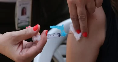 Dengue: 2025 pode superar casos do ano passado no Brasil, diz especialista
